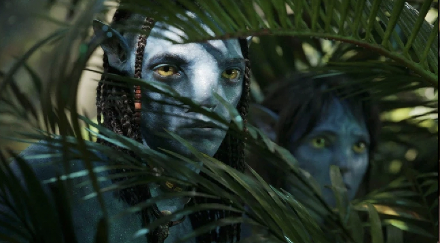 Avatar – Candid Cinema